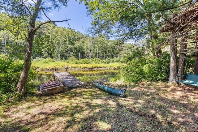 133 Munyan Rd, Putnam, CT 06260 - photo 11