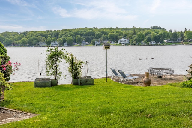 98 Island Trl, Morris, CT 06763 - photo 6