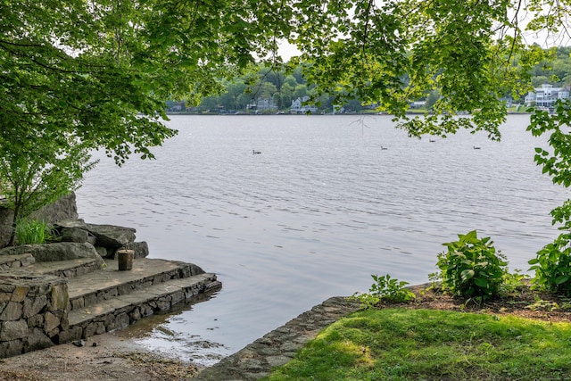 98 Island Trl, Morris, CT 06763 - photo 7