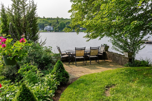 98 Island Trl, Morris, CT 06763 - photo 8