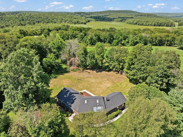300 Babcock Hill Rd, Lebanon, CT 06249 - photo 34