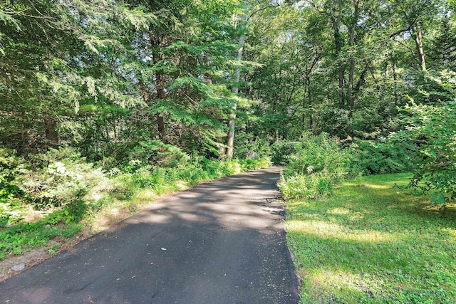 120 Bundy Hill Rd, Lisbon, CT 06351 - photo 32