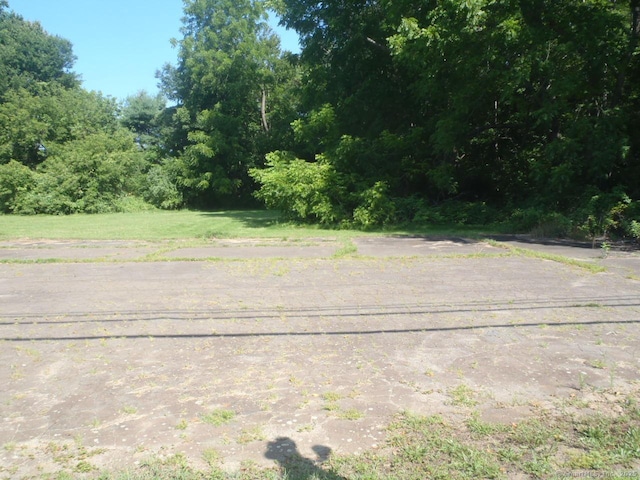 252 Rte 66, Columbia, CT 06237 - photo 27