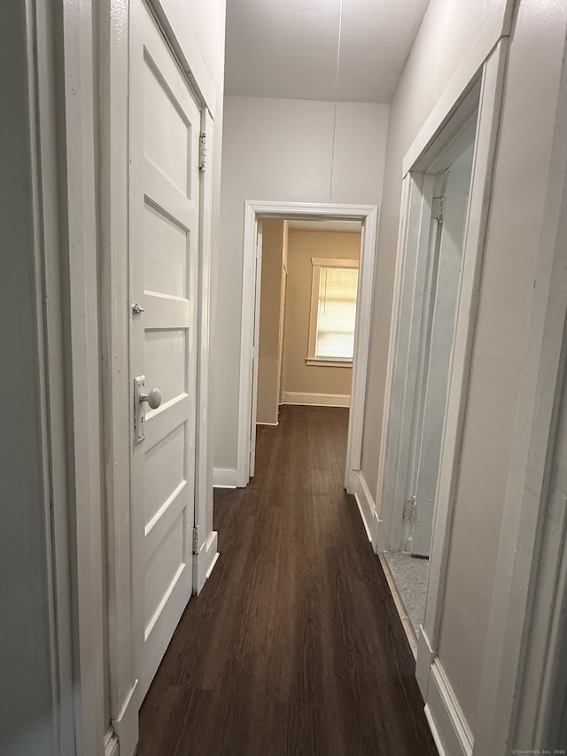 78 Euclid St W, Hartford, CT 06112 - photo 5