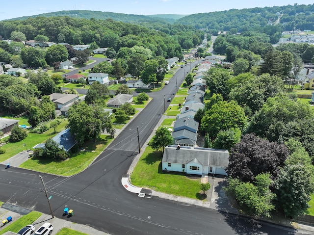 24 Holiday Hl, Waterbury, CT 06704 - photo 29