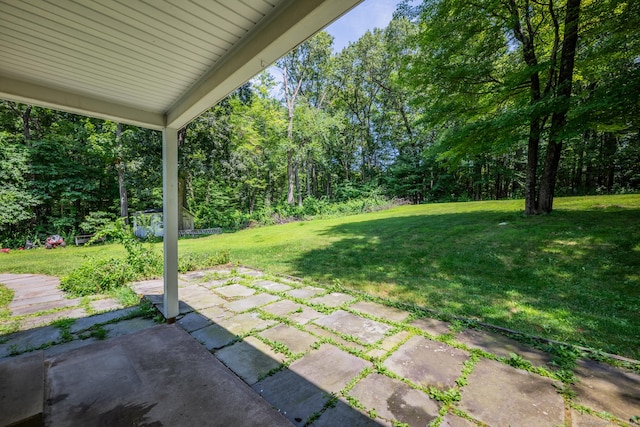 42 Carriage Dr, Avon, CT 06001 - photo 27
