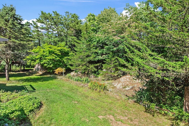 68 Roode Rd, Plainfield, CT 06374 - photo 5