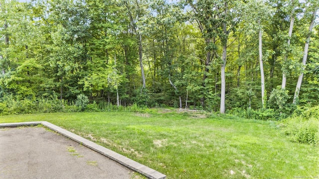 186 Wildermere Rd, Berlin, CT 06037 - photo 38