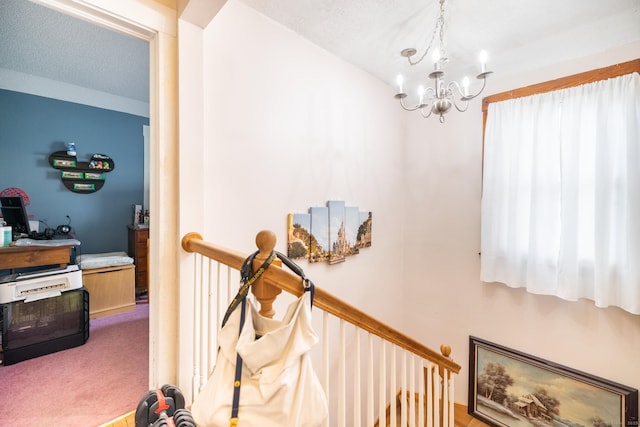 11 Willoughby St, Bristol, CT 06010 - photo 12