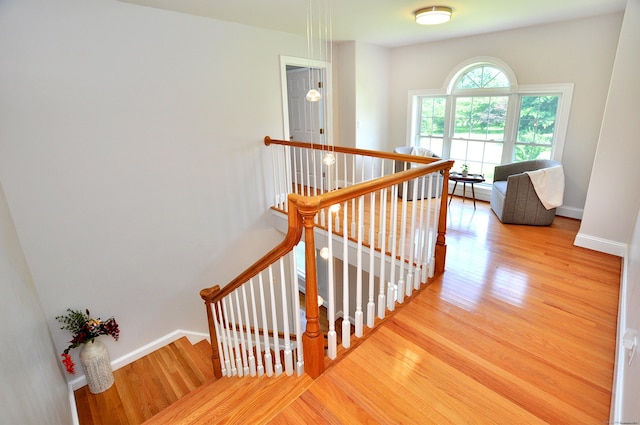 120 Talcott Ridge Rd, South Windsor, CT 06074 - photo 23
