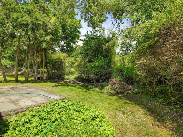 28 Crescent Park Rd, Westport, CT 06880 - photo 33