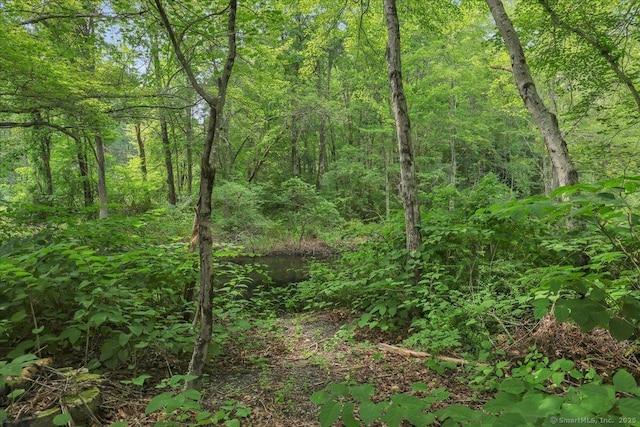 8 Boulder Ln, Mansfield, CT 06250 - photo 37