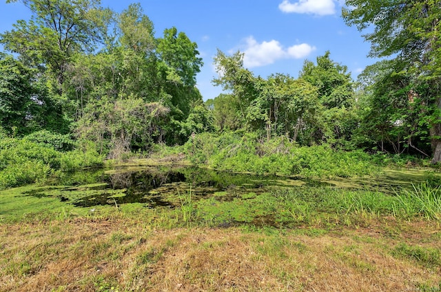 89 Brush Hill Rd, Lyme, CT 06371 - photo 9