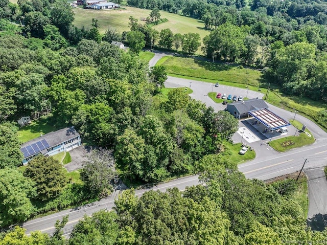 29 New Milford Rd W, Bridgewater, CT 06752 - photo 4