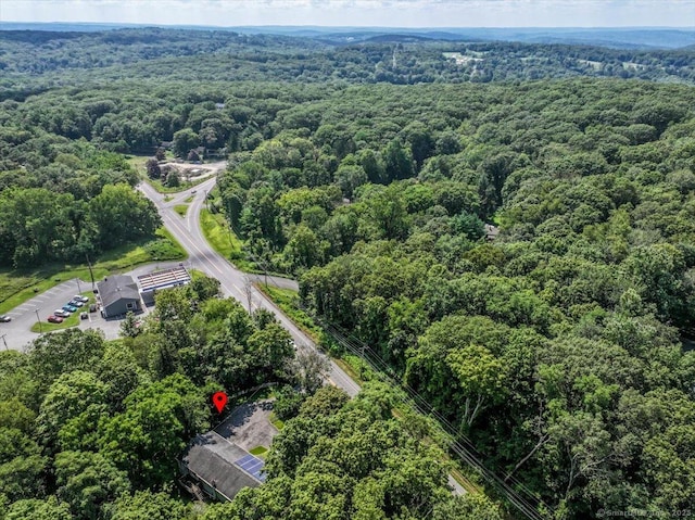 29 New Milford Rd W, Bridgewater, CT 06752 - photo 5