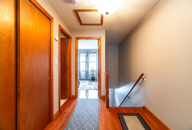 61 White Tail Ln Unit 61, Wallingford, CT 06492 - photo 21