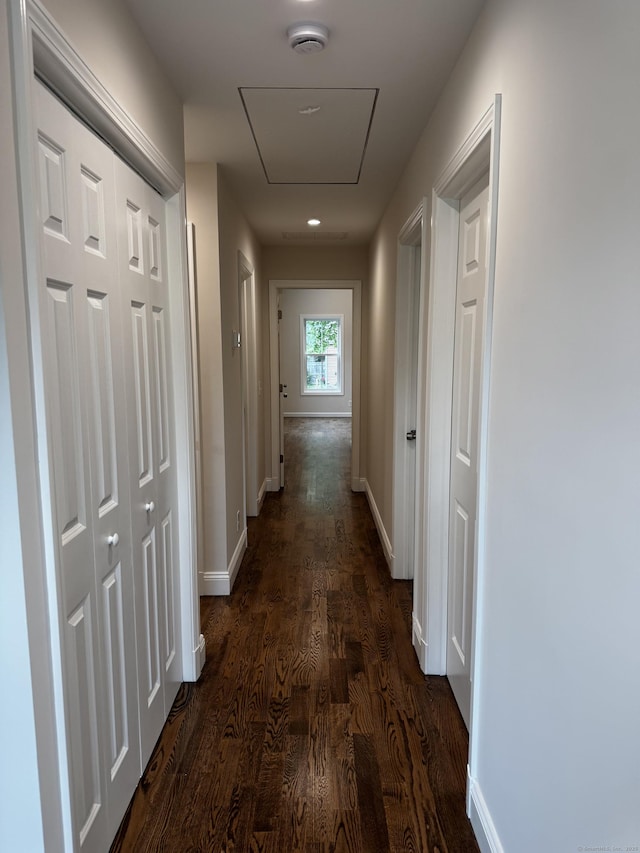 410 Alba Ave, Bridgeport, CT 06606 - photo 19