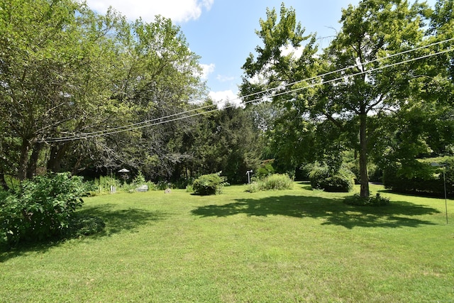 74 Lovely St, Canton, CT 06019 - photo 5