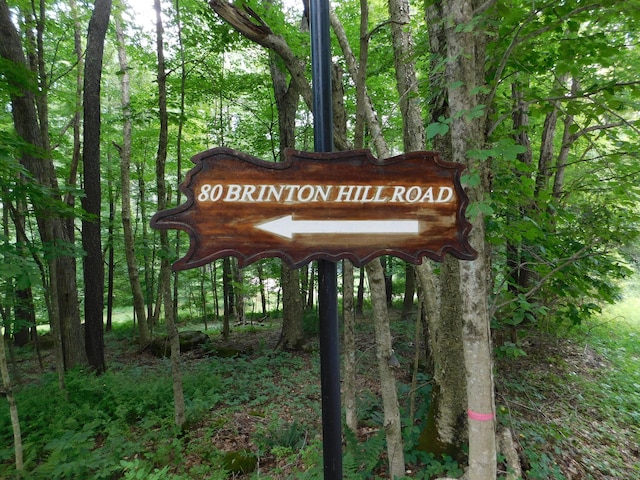 80 Brinton Hill Rd, Salisbury, CT 06031 - photo 1