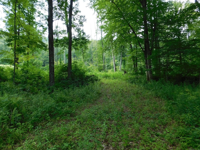 80 Brinton Hill Rd, Salisbury, CT 06031 - photo 3