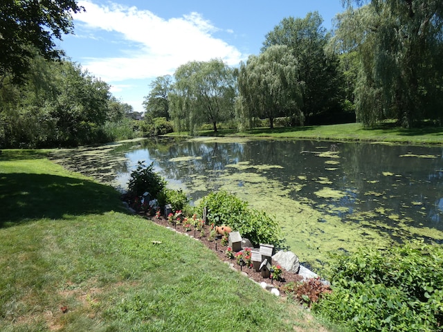 330 Merwin Ave Apt B1, Milford, CT 06460 - photo 9