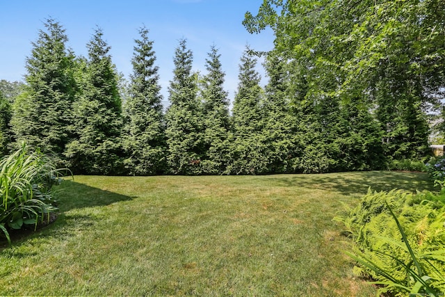 69 River St, Fairfield, CT 06890 - photo 34