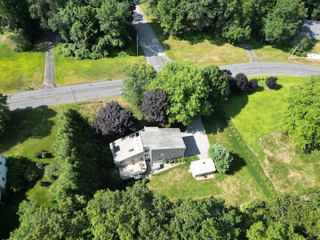 40 Cannon Dr, Hebron, CT 06231 - photo 37