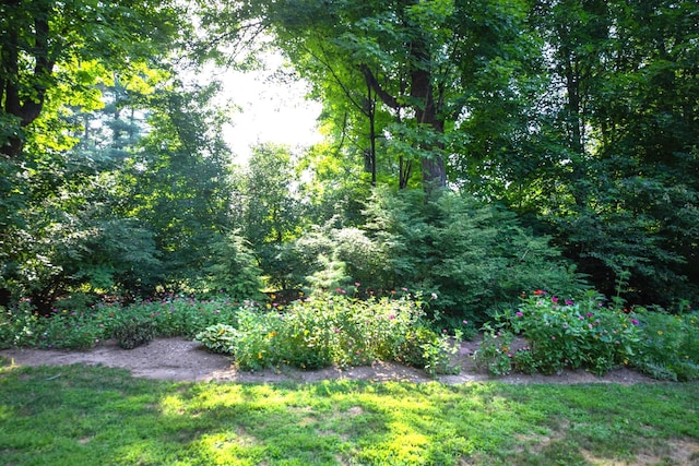 4 Sunrise Ter, Simsbury, CT 06089 - photo 4