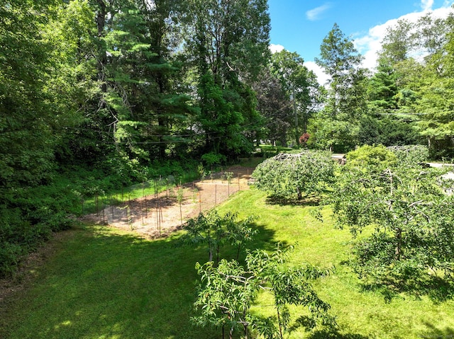284 Buell Rd, Litchfield, CT 06759 - photo 35