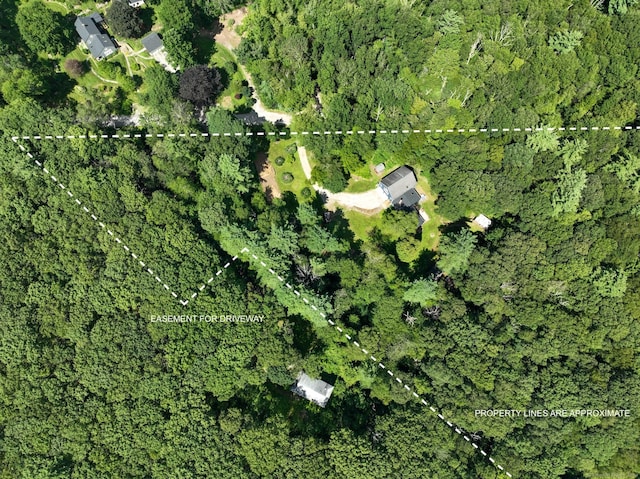 284 Buell Rd, Litchfield, CT 06759 - photo 40