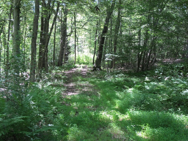 42 Lake Rd, Bozrah, CT 06334 - photo 1
