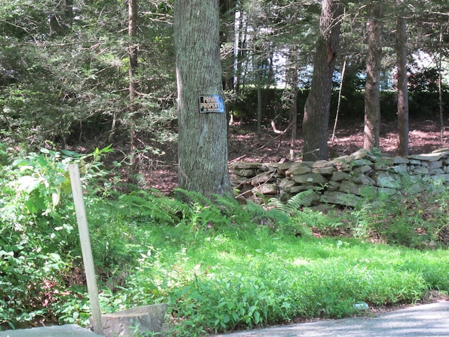 42 Lake Rd, Bozrah, CT 06334 - photo 3