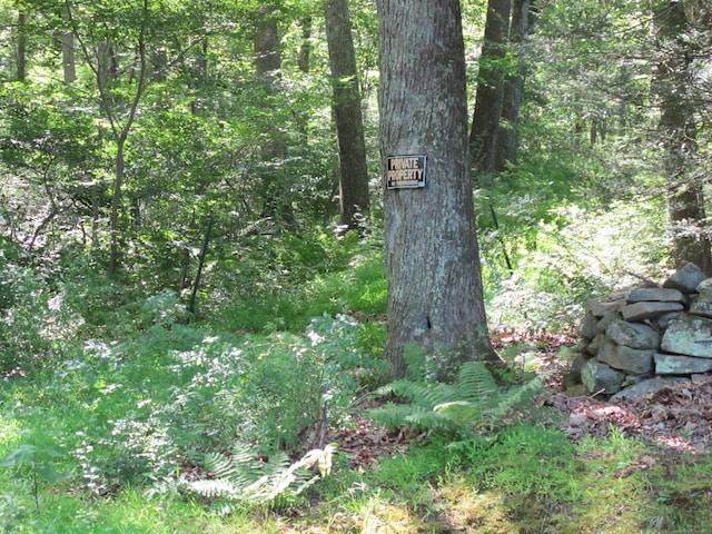 42 Lake Rd, Bozrah, CT 06334 - photo 4