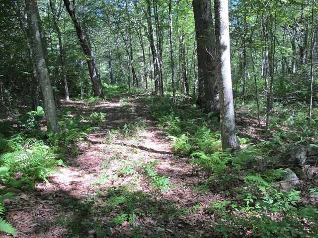 42 Lake Rd, Bozrah, CT 06334 - photo 6