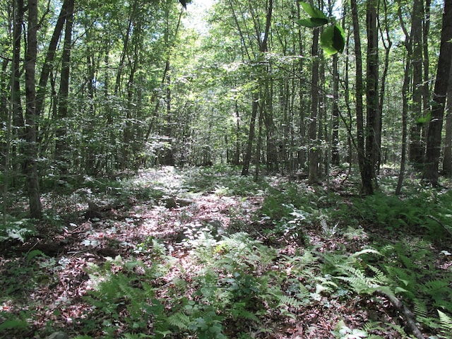 42 Lake Rd, Bozrah, CT 06334 - photo 7