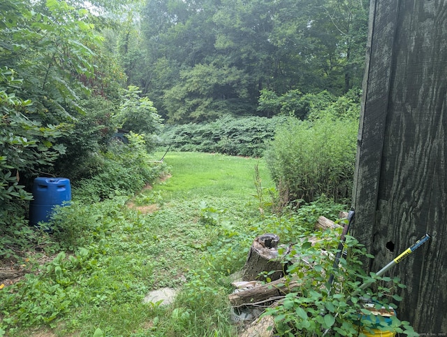 51 Sullivan Rd, Lisbon, CT 06351 - photo 4