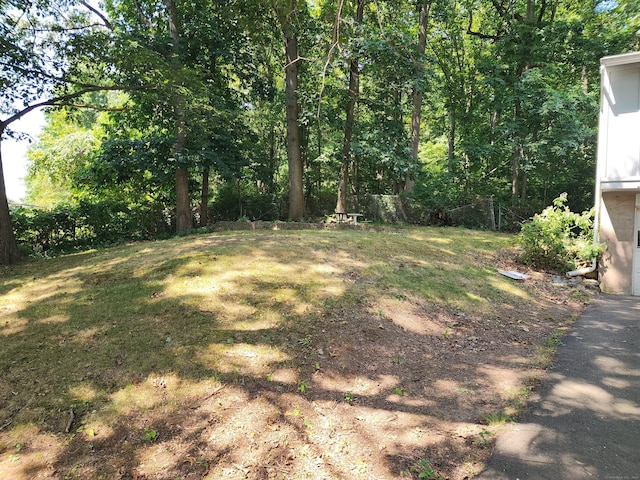 124 Malcolm Rd, West Haven, CT 06516 - photo 3
