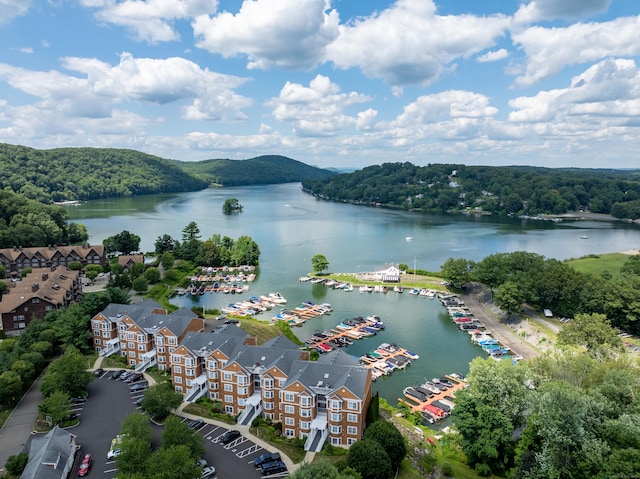 10 Hayestown Rd Unit 2-9, Danbury, CT 06811 - photo 5