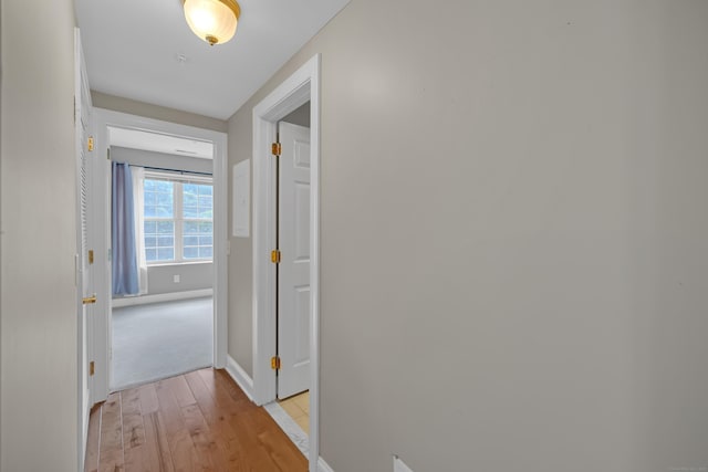 10 Hayestown Rd Unit 2-9, Danbury, CT 06811 - photo 16