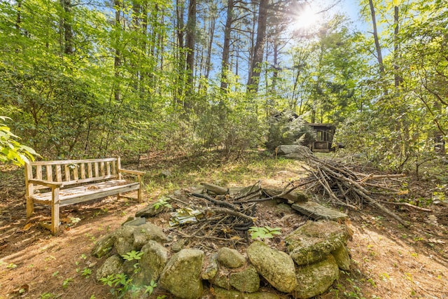 12 Pinehurst Rd, Hartland, CT 06091 - photo 5