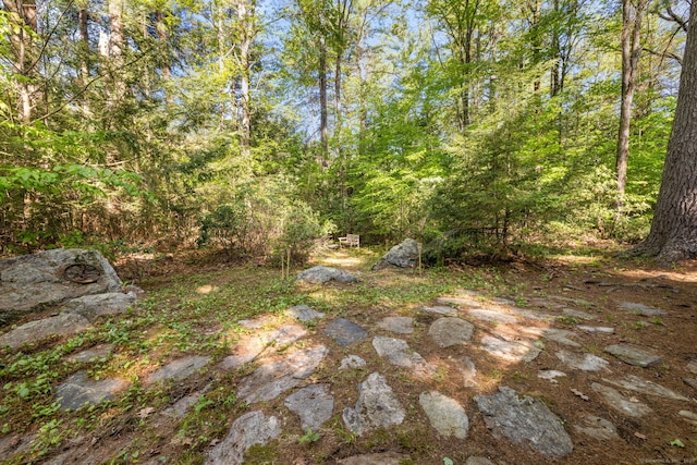 12 Pinehurst Rd, Hartland, CT 06091 - photo 6