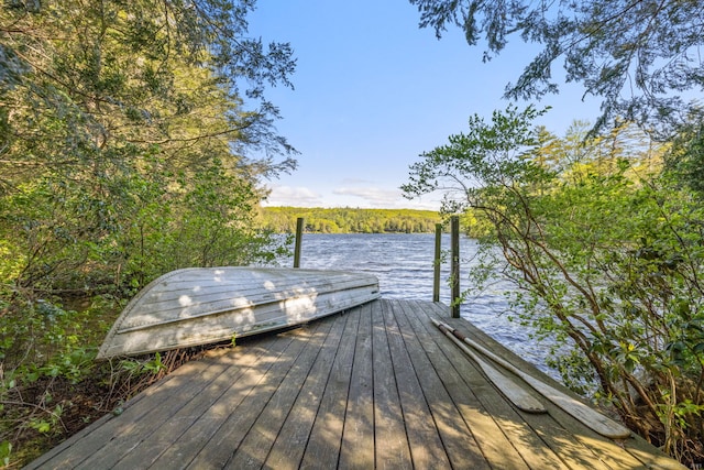 12 Pinehurst Rd, Hartland, CT 06091 - photo 23