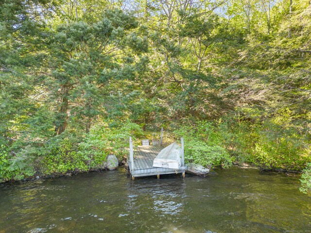 12 Pinehurst Rd, Hartland, CT 06091 - photo 24