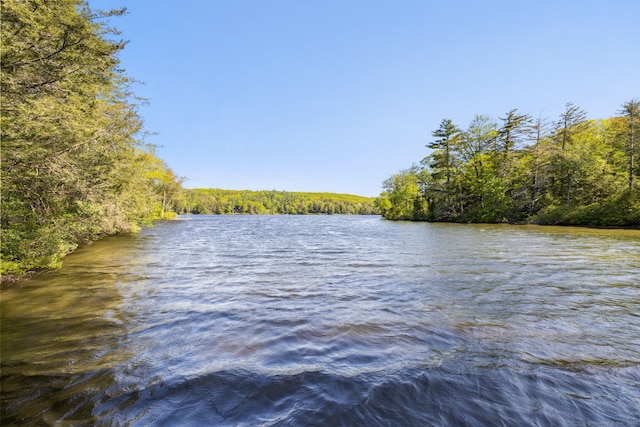 12 Pinehurst Rd, Hartland, CT 06091 - photo 25