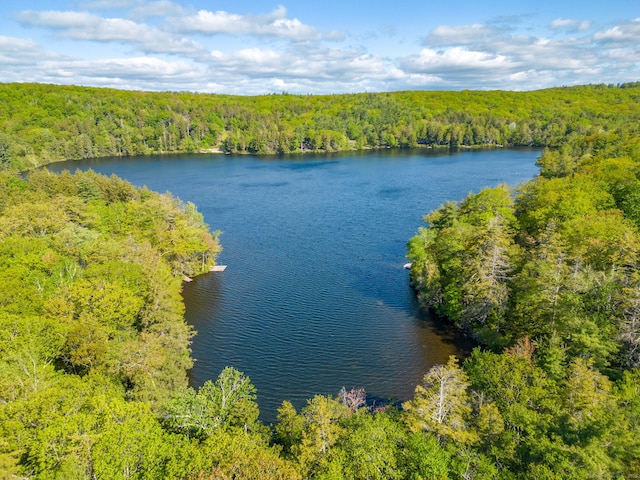 12 Pinehurst Rd, Hartland, CT 06091 - photo 26