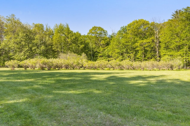 12 Pinehurst Rd, Hartland, CT 06091 - photo 30