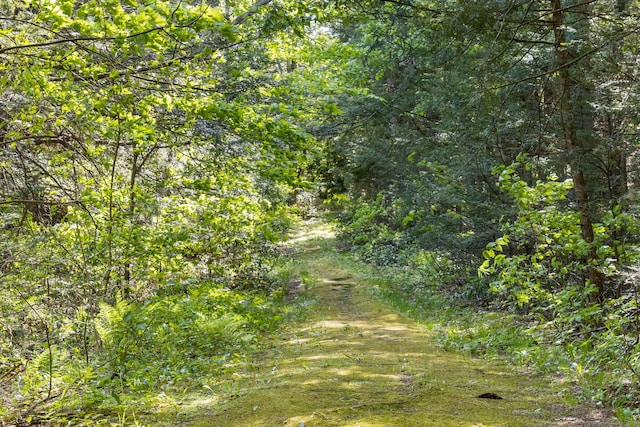 12 Pinehurst Rd, Hartland, CT 06091 - photo 32