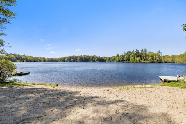 12 Pinehurst Rd, Hartland, CT 06091 - photo 33