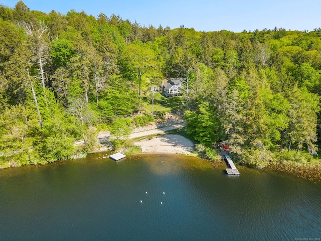 12 Pinehurst Rd, Hartland, CT 06091 - photo 34