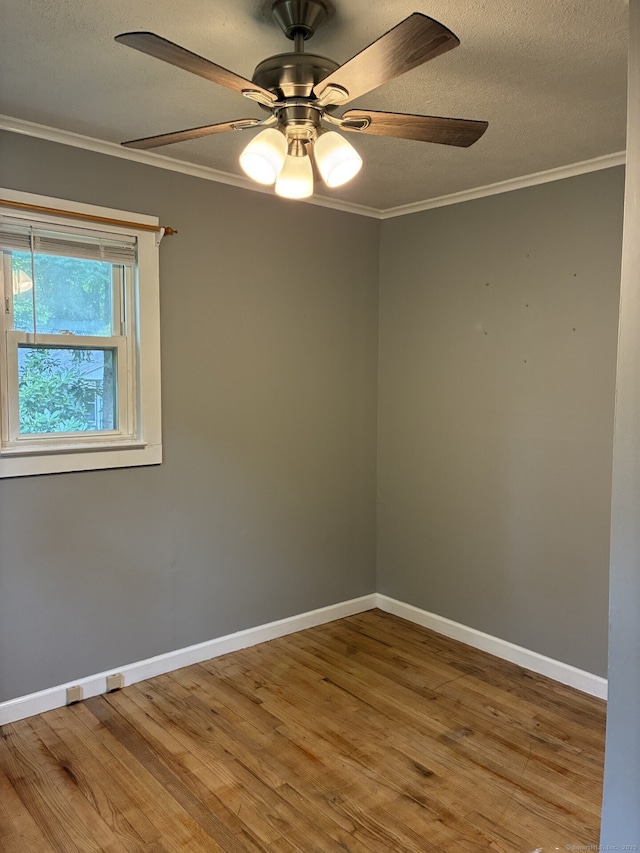 589 New Litchfield St, Torrington, CT 06790 - photo 12